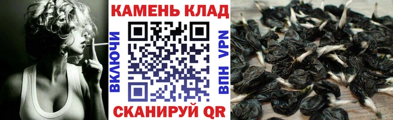 ГАШ hashish  Весьегонск 