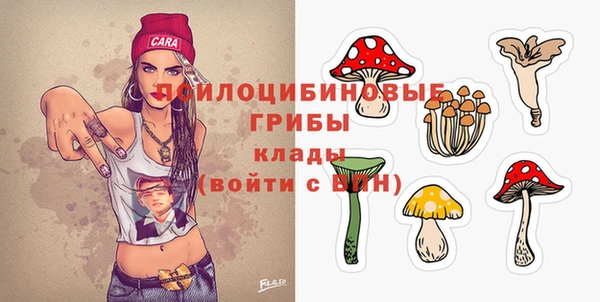 мет Надым
