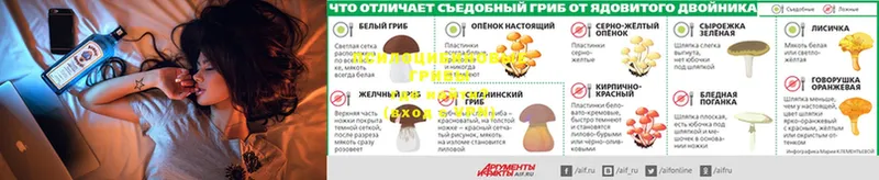 Псилоцибиновые грибы прущие грибы  darknet формула  Весьегонск 