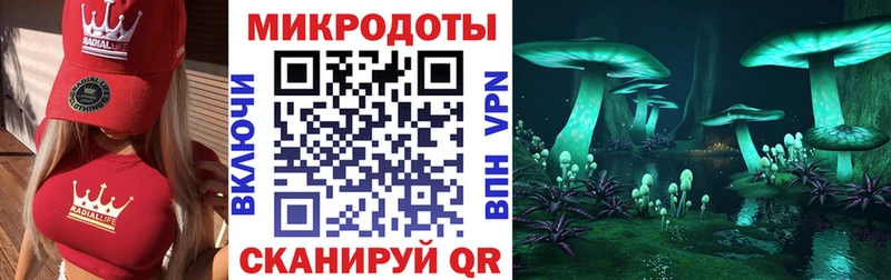 Псилоцибиновые грибы MAGIC MUSHROOMS  где можно купить наркотик  Весьегонск 