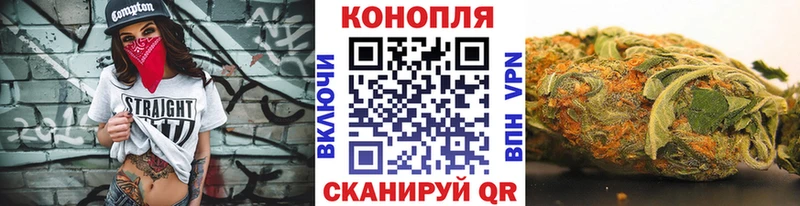 Шишки марихуана планчик  что такое   Весьегонск 